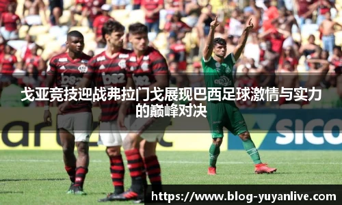 戈亚竞技迎战弗拉门戈展现巴西足球激情与实力的巅峰对决
