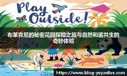 雨燕直播