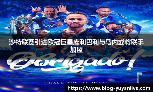 雨燕体育直播